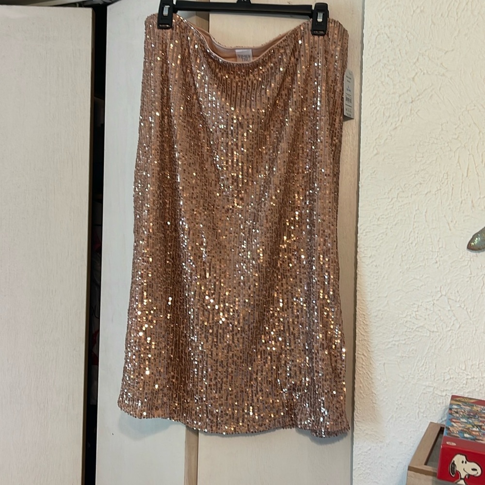 Time and tru sequin skirt